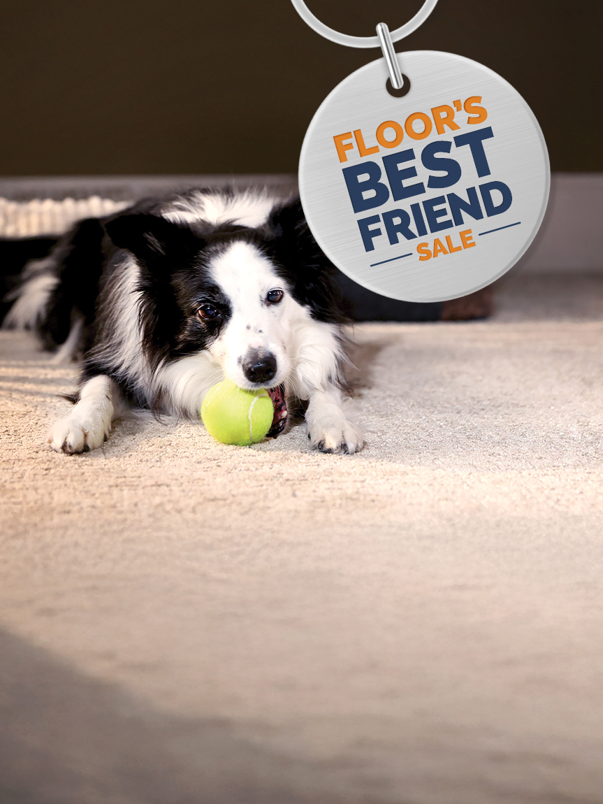 flooring-stores-in-middletown-de-and-west-chester-pa-bob-wagner-s